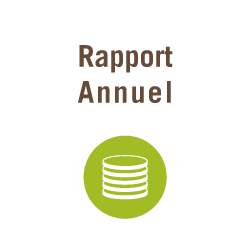 Rapport Annuel